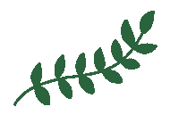 Flower Sticker
