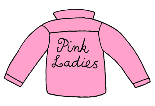 pink ladies drawing GIF