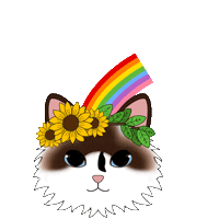 fluffybydesign cat rainbow flowers spring Sticker
