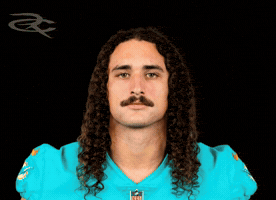 Miami Dolphins GIF by Respective