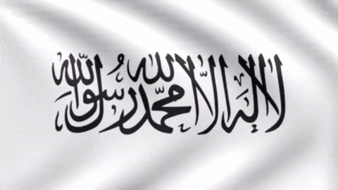 Flag Banner GIF