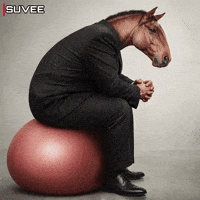 Ball Horse GIF