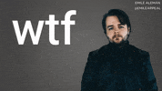 Dry Humor Wtf GIF