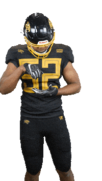 leopardsrouen sport win rouen fffa Sticker