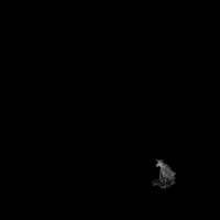 black and white animation GIF by Alastair Gray