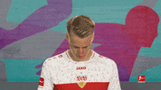 Vfb Stuttgart Football GIF by Bundesliga