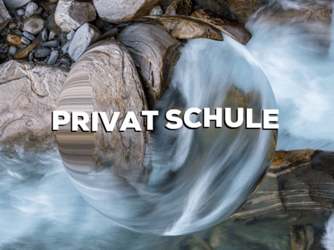 Fun Party GIF by PrivatschulenPORTAL.de