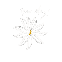 New Day Friday Sticker