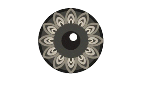 IrisFotoSchweiz giphyupload photography eye switzerland Sticker