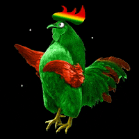galloverde gv galloverde gallo verde GIF