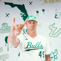 South Florida Baseball GIF by USF Athletics