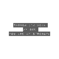 theencounter  Sticker