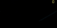may 27 season 1 GIF by National Geographic Channel