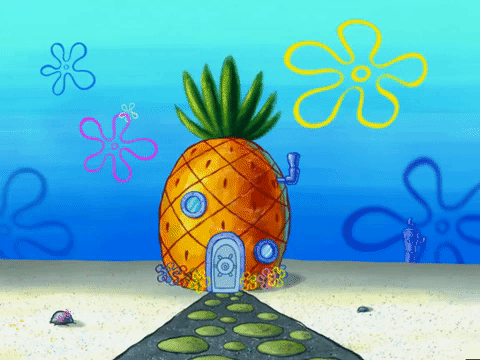 season 6 boating buddies GIF by SpongeBob SquarePants