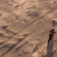 GIF by Red Bull