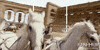 morgan freeman chariot race GIF by Paramount Pictures