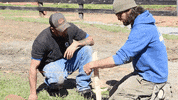 Working Chris Burns GIF by JC Property Professionals