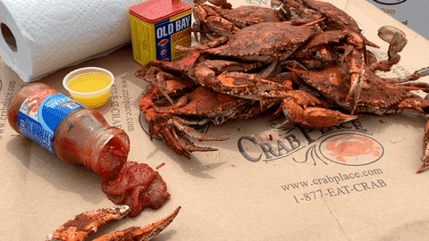 Old Bay Seafood GIF by The Crab Place