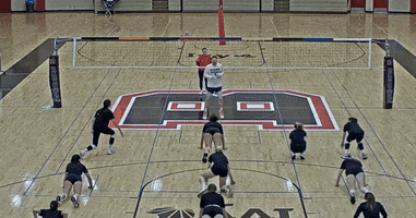 GIF by Brown Volleyball