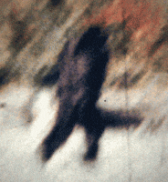 photo report GIF
