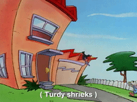 rockos modern life nicksplat GIF