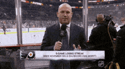 Ice Hockey Fight GIF by NHL