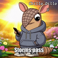 GIF by Chillo Dillo