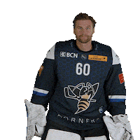 hcclachauxdefonds hockey viktor 60 hcc Sticker