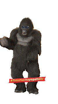 Zeecinema Happy Dance Sticker by Zee Cinema Channel