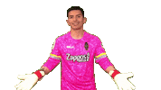 Cant Hear You Las Vegas Sticker by Lights FC
