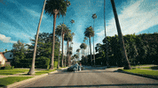 Flexing Music Video GIF by AR Paisley