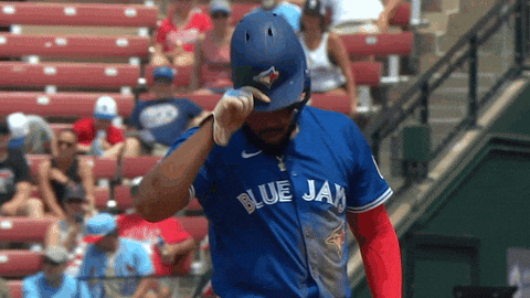 Blue Jays Baseball GIF by Toronto Blue Jays