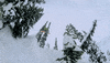 skiing GIF