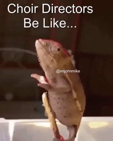 Choir Director Omg GIF by JustViral