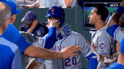 Celebrate Home Run GIF by New York Mets