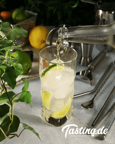tastingde giphyupload drink enjoy cocktail GIF