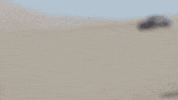dakar dakar2018 GIF by Tim Coronel
