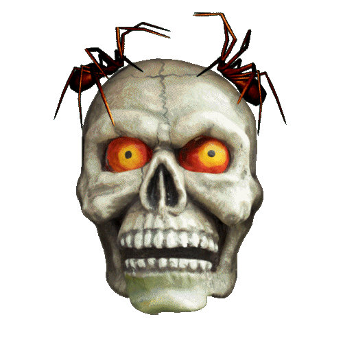 Skull Skeleton Sticker
