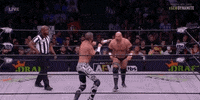 All Elite Wrestling GIF by AEWonTV