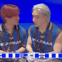Hip Hip Stray Kids GIF