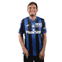 De Roon Smile Sticker by Atalanta Bergamasca Calcio