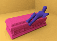 royaebtehaj  GIF