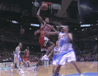 chicago bulls GIF