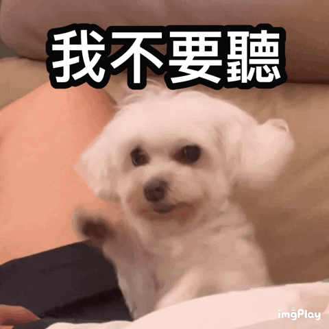 聽不到 GIFs - Find & Share on GIPHY