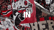 Ticket Werkself GIF by Bayer 04 Leverkusen