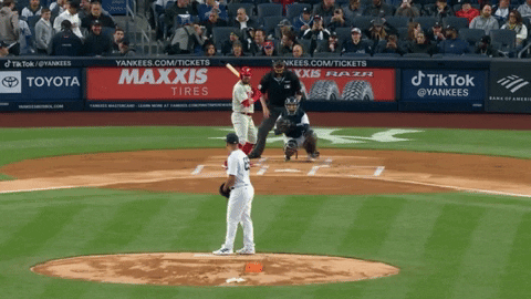 tesstass giphyupload GIF