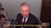 Lindsey Graham GIF by GIPHY News