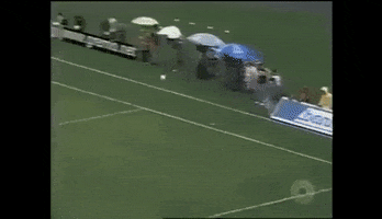 Colorado Inter GIF by Sport Club Internacional