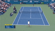 Us Open Sport GIF by Tennis Channel