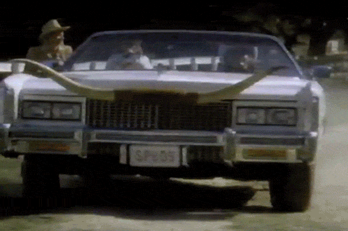 dog 80s commercial spuds mackenzie GIF
